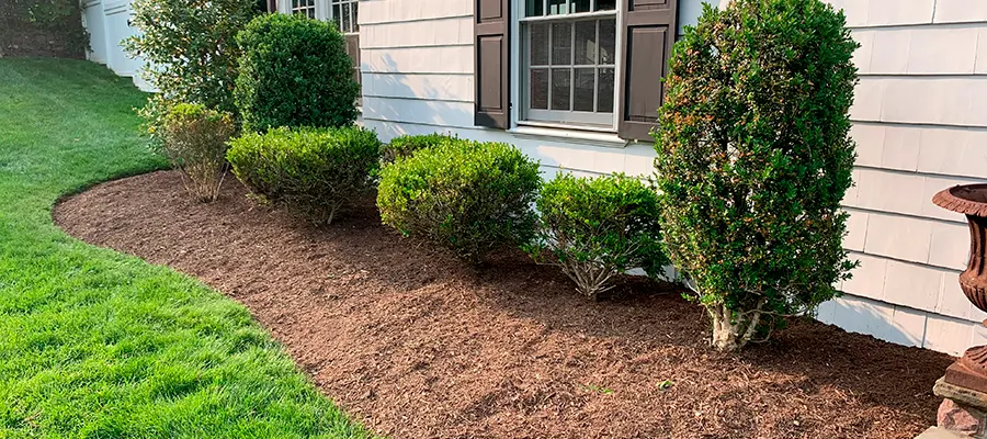 Improved Curb Appeal